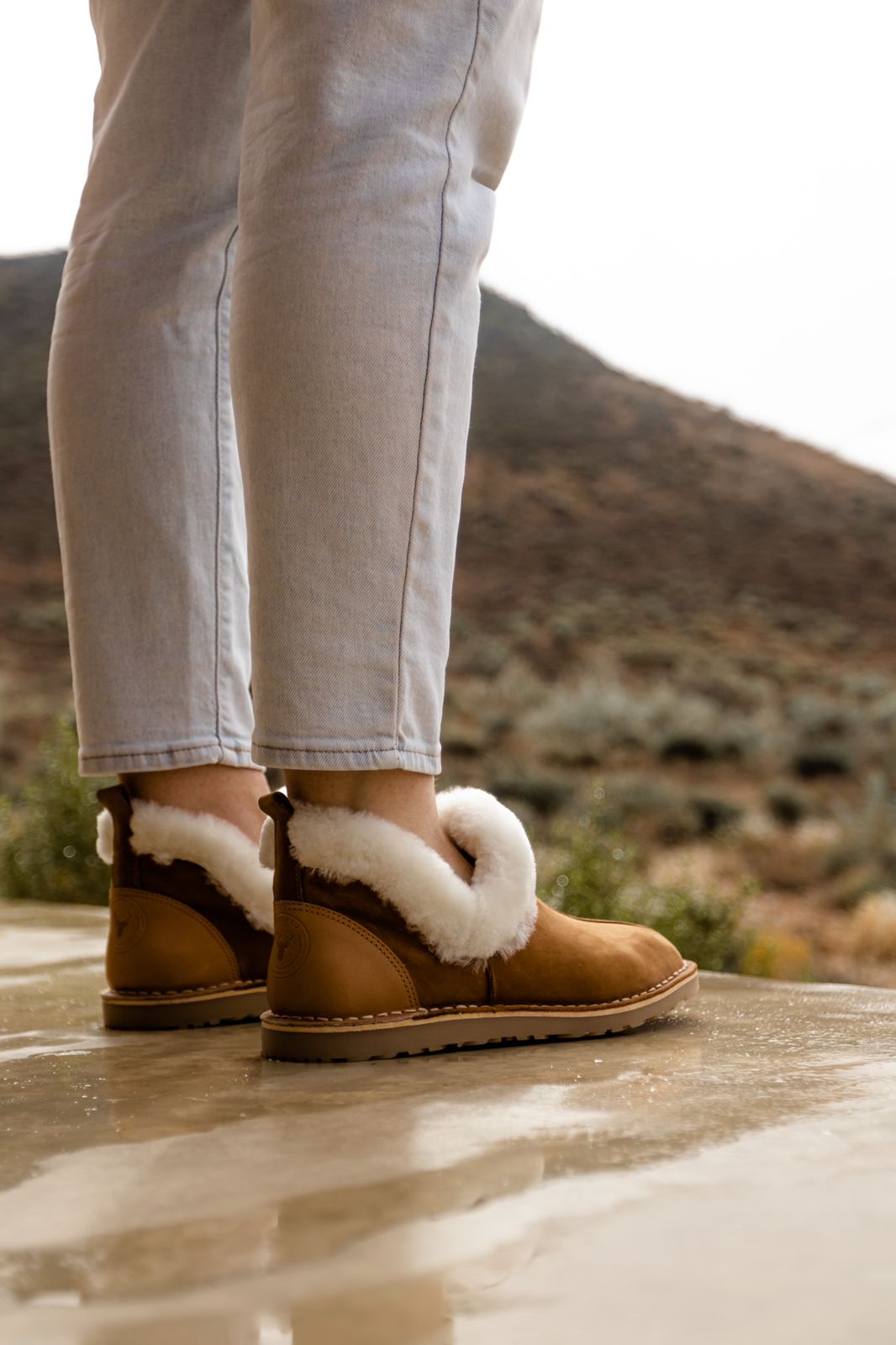 The Dune Wayfarer