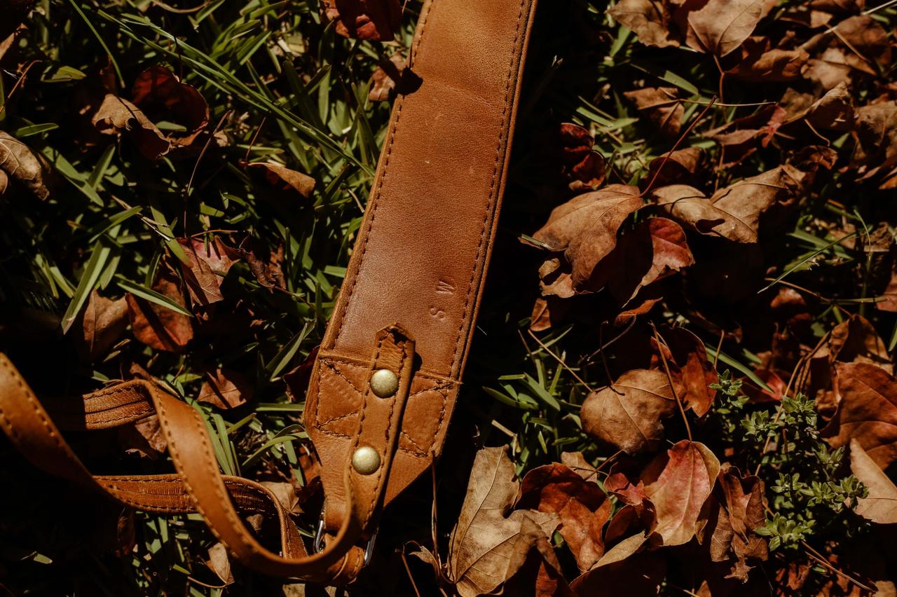 Camera Straps